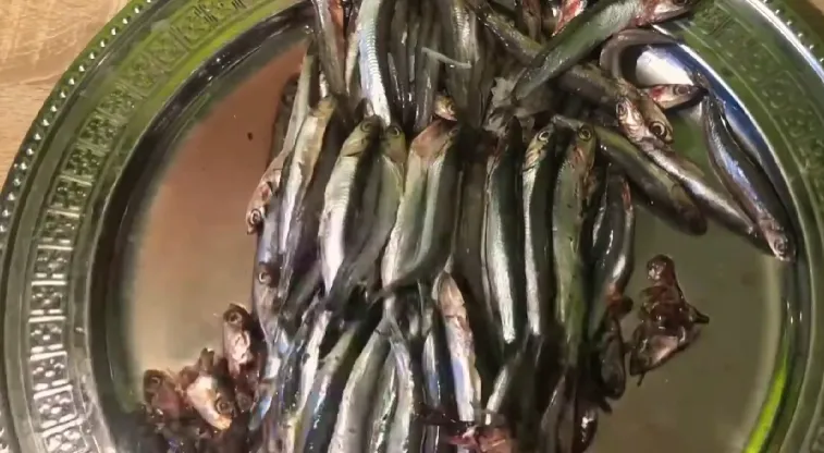 طرز تهیه ماهی کیلکا سرخ شده